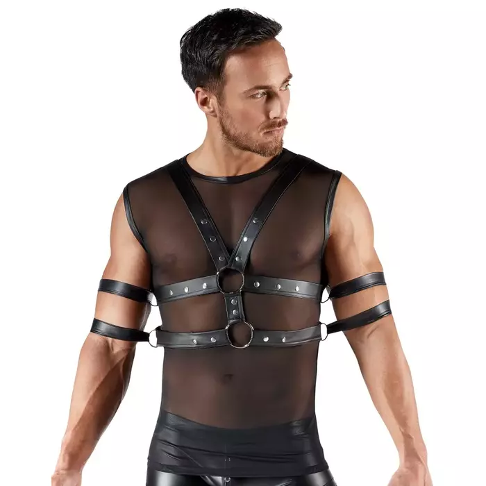 Svenjoyment 21618851731 XL мужской комплект майка и шлейка Photo 2