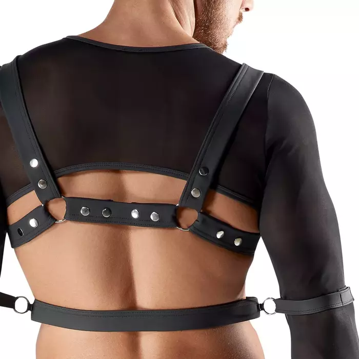 Sasaistes komplekts Svenjoyment Men's Bondage Set L Photo 7