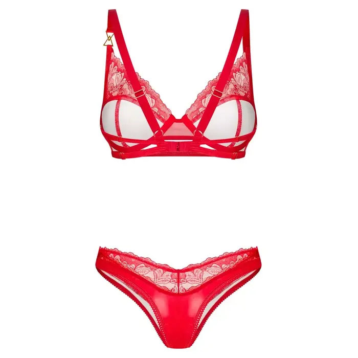 Комплект OBSESSIVE Aliosa — бюстгальтер с косточками и стринги L/XL Photo 5