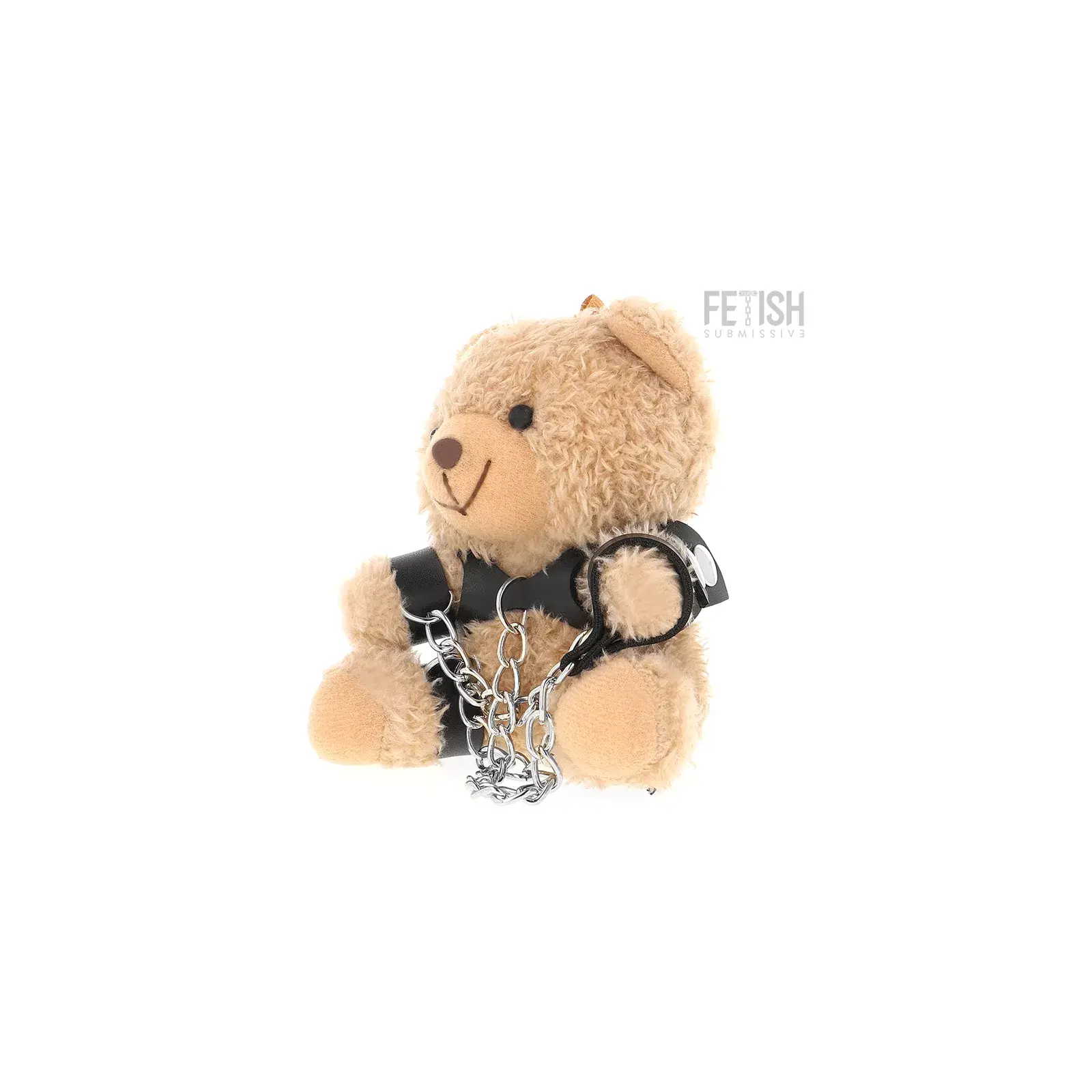 FETISH SUBMISSIVE YOGI TEDDY BEAR BDSM MODELS 1 Photo 1