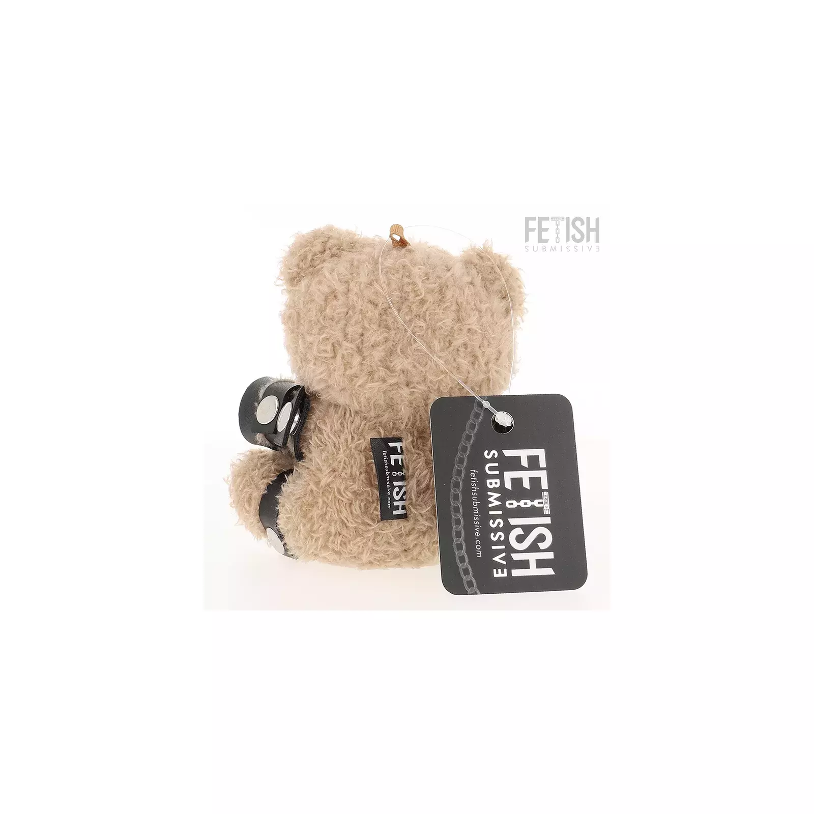 FETISH SUBMISSIVE YOGI TEDDY BEAR BDSM MODELS 1 Photo 3