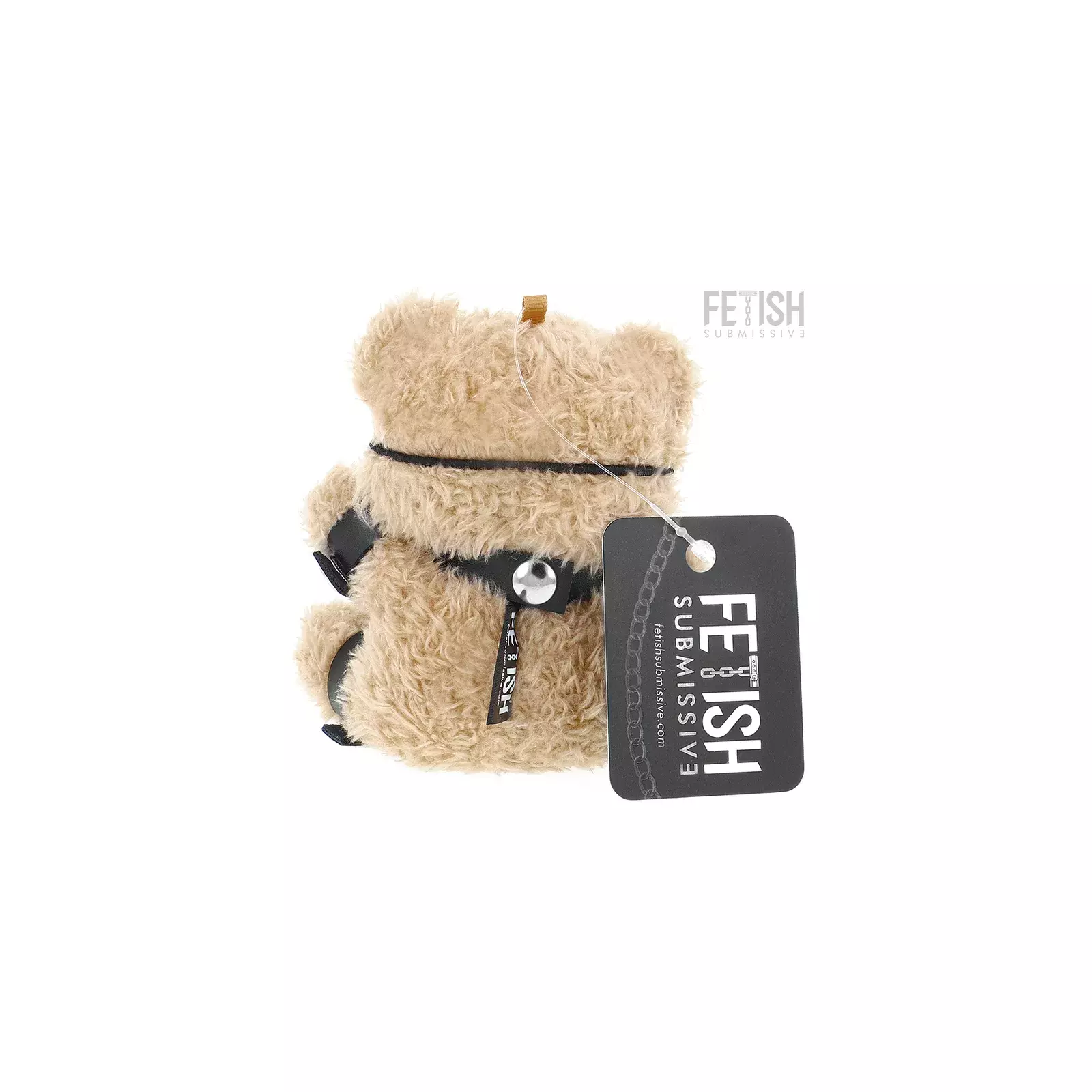 FETISH SUBMISSIVE FOZZIE TEDDY BEAR BDSM MODELS 3 Photo 3