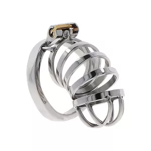 HIDDEN DESIRE - EXTREME CHASTITY COCK CAGE METAL