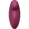 SATISFYER D-241755 4061504046044 Photo 2