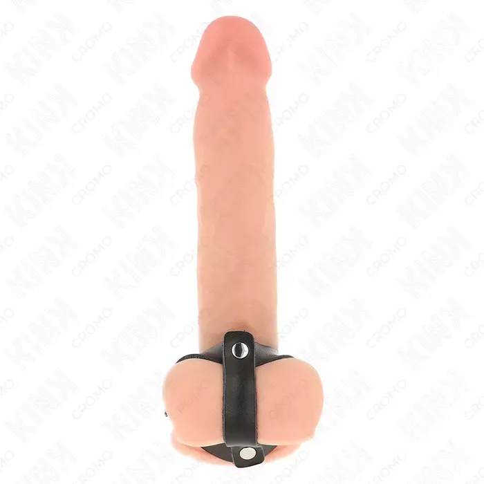 Кожаное кольцо и разделитель яичек KINK RING POWER D-241253 Photo 3