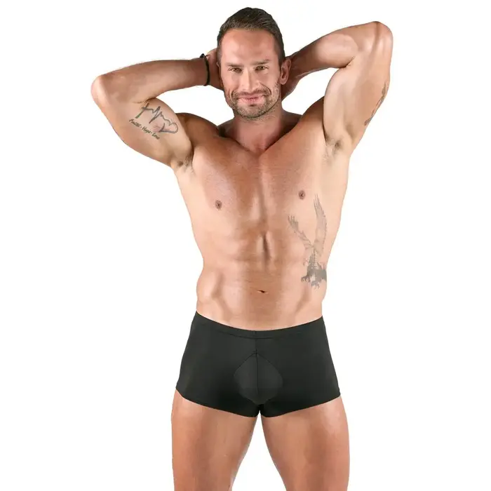 Men's pants Svenjoyment Pants Men XL Photo 5