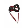 Strap harness Mob D-243437 with red penis ring Photo 7