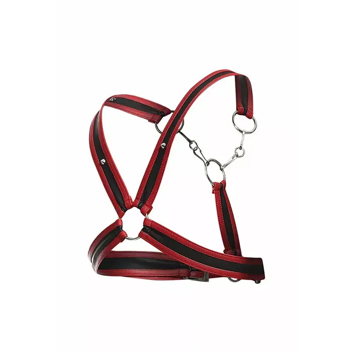 Harness Mob DNGEON Red ar ķēdēm Photo 8