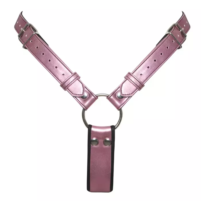 Bad Kitty BK Thong+Dildo 2XL — strap-on stringi ar dildo Photo 6