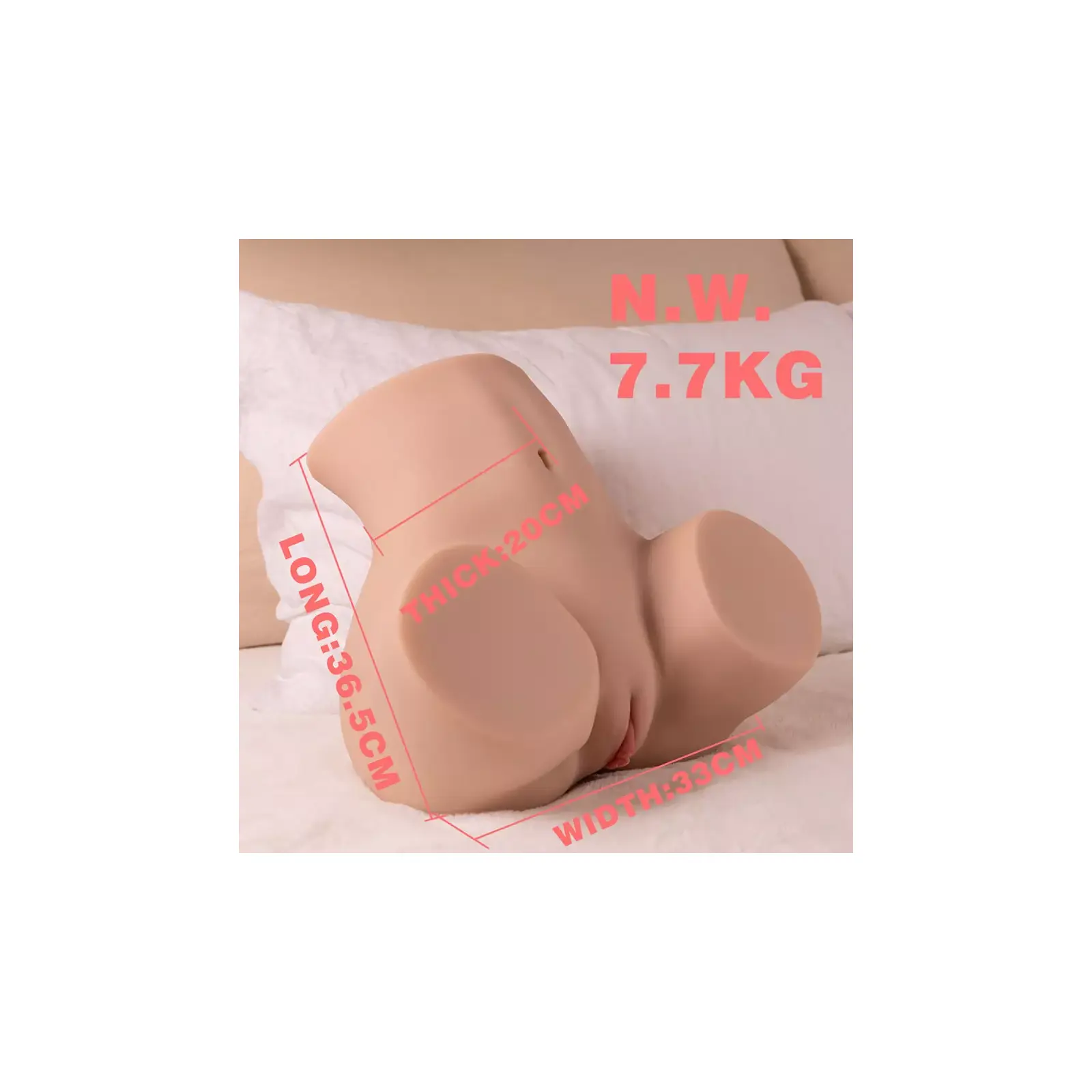 XISE D-242994 8435565958213 Photo 11
