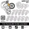 Металлическая клетка целомудрия ADDICTED TOYS LOCKED D-242971, M Photo 7