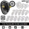 Клетка для чести ADDICTED TOYS LOCKED D-242961 Photo 7