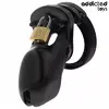 Chastity cage ADDICTED TOYS LOCKED Forbidden Vault Photo 2