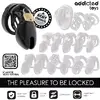 Chastity cage ADDICTED TOYS LOCKED Forbidden Vault Photo 7