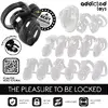ADDICTED TOYS LOCKED Eternal Lock chastity cage 9 cm Photo 7