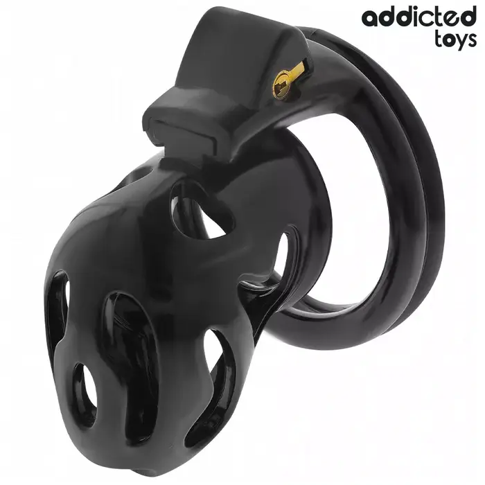 Устройство для чести ADDICTED TOYS LOCKED Crypt — 8 см Photo 2