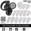 Устройство для чести ADDICTED TOYS LOCKED Crypt — 8 см Photo 7