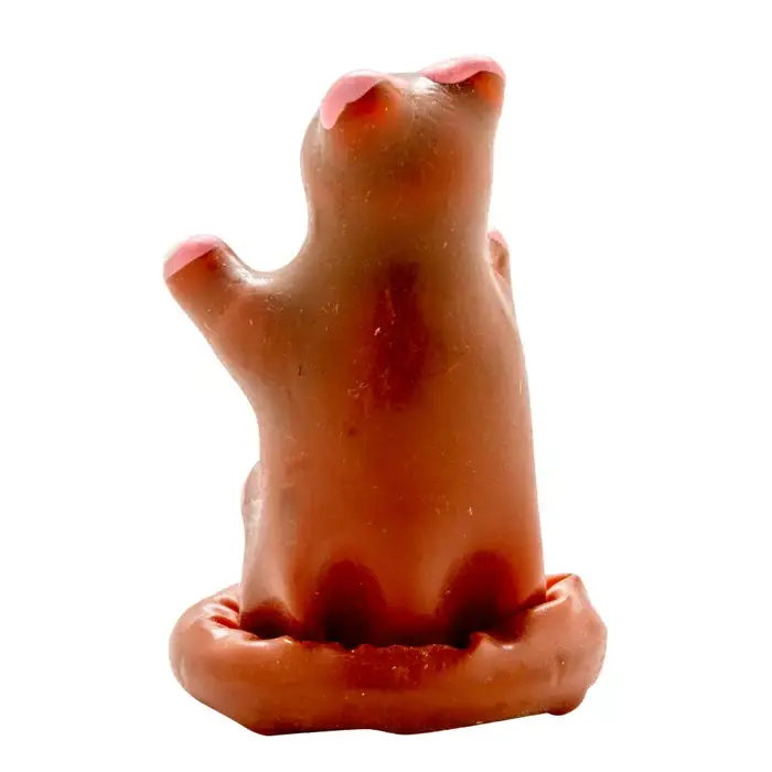 CONDOMERIE roku apgleznotie Teddy Bear prezervatīvi Photo 4