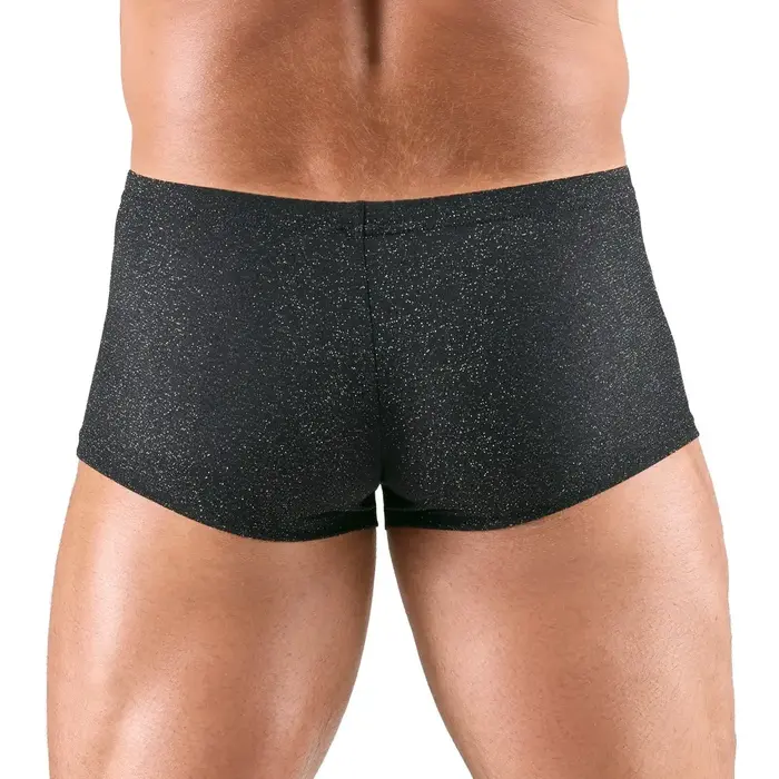 Мужские брюки Svenjoyment M.Pants серебристые, M Photo 3