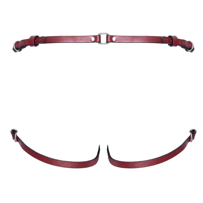 ZADO Leather Strap-on S/M josta Photo 9