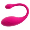 Vibro love ball beau cœur KORAL RC Photo 6