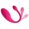 Vibro love ball beau cœur KORAL RC Photo 7