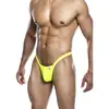 Mob D-243454 thong — yellow L Photo 2