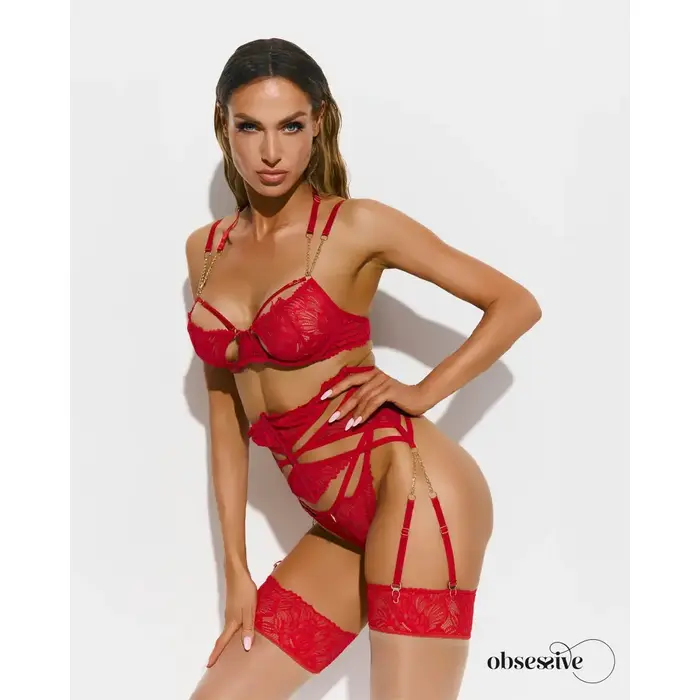 Чулки с подтяжками OBSESSIVE OBS Stockings 2XL/3XL Photo 3