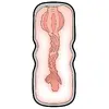 Masturbators Stroker Vagina Style — TPE, 16,8 cm Photo 10