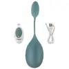 Vibepad mini vibrator vibepad compact Photo 11