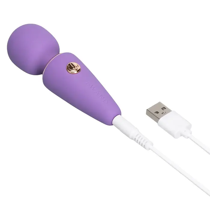 Массажер le wand Mini Microwand Rose Vi Photo 6