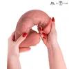 Silicone dildo MR. INTENSE Spencer ExtraBig 28 cm Photo 5