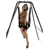 HIDDEN DESIRE Extreme Lovers Swing with Stand Photo 4