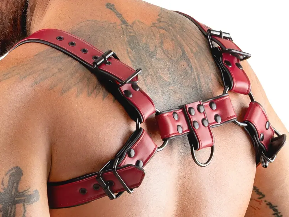 Плетёга на грудь Svenjoyment Men's Chest Harness красный S-XL Photo 8