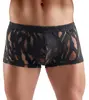 Svenjoyment M. Pants 3XL — трусики Photo 2