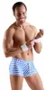 Мужские брюки-костюм Svenjoyment 21805614731 XL Photo 4