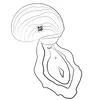 ROMP Spin Rabbit Vibrator | Dual Stimulation Device Photo 16