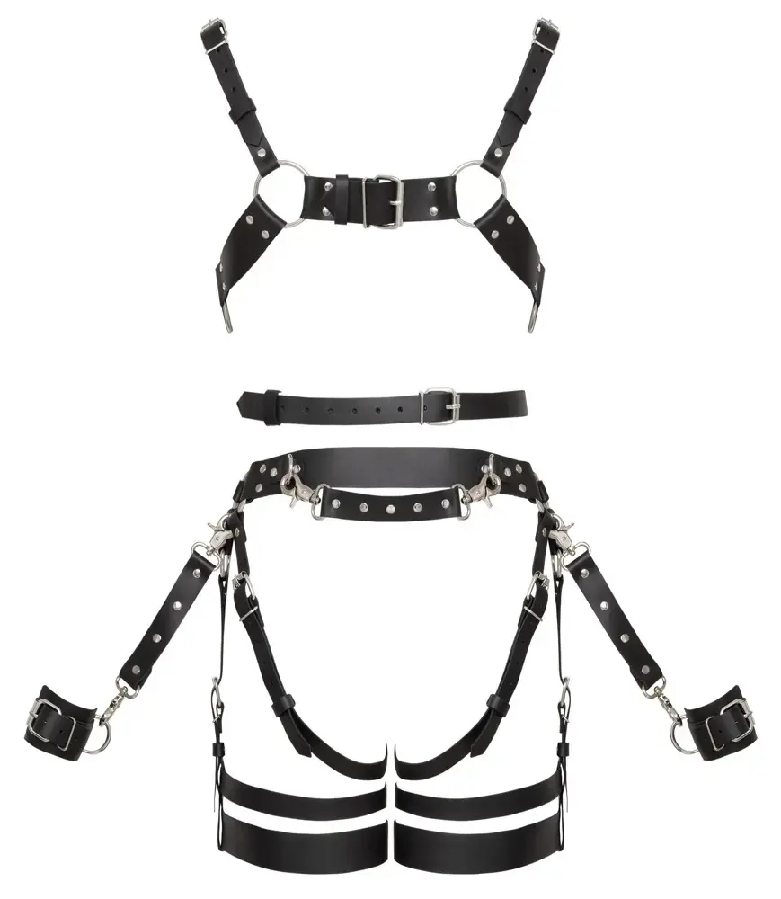ZADO Leather Harness Set L/XL Photo 8
