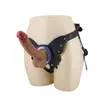 harness collection D-245978 6959532363418 Photo 3