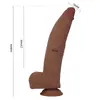 DILDOS D-246144 6959532365610 Photo 5