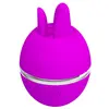HIGH TECH PRETTY LOVE GEMINI BALL Vibrator Photo 5