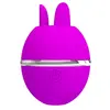 HIGH TECH PRETTY LOVE GEMINI BALL Vibrator Photo 6