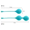 INTENSE Pack Kendall Blue Kegel Balls Trainer Photo 3