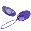 PRETTY LOVE Berger Youth Remote Control Vibrating Egg Photo 2
