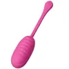 PRETTY LOVE Catalina Pink Vibrating Egg Photo 2