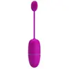 Pretty Love Nymph App Controlled Vibrating Egg Purple Photo 3