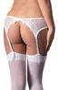 Cottelli Collection Кружевной поясок для чулок S/M Photo 4
