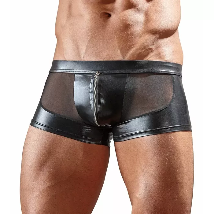 Men's Pants Svenjoyment L Photo 2