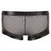Men's Pants Svenjoyment L Photo 5